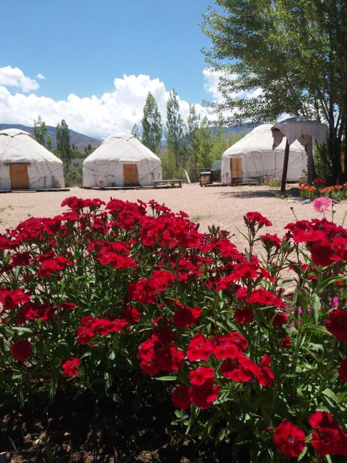 Hotel Yurt Camp Tosor Exterior foto