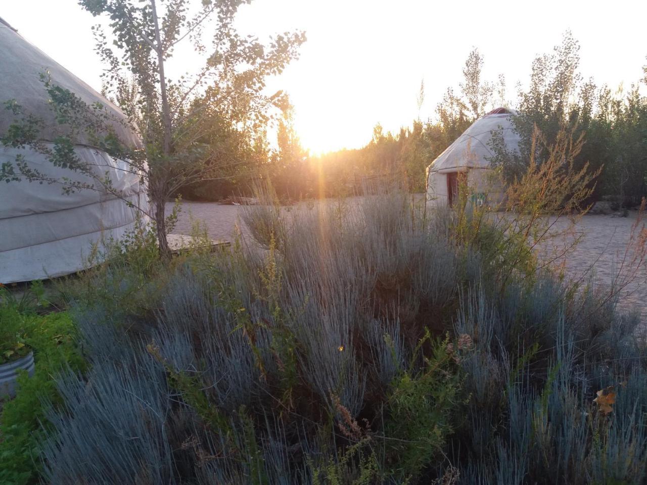 Hotel Yurt Camp Tosor Exterior foto